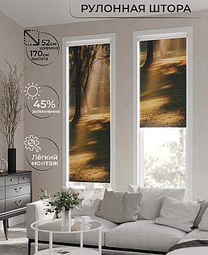 Рулонная штора «Анимаис-484 - ширина 52 см.» | фото