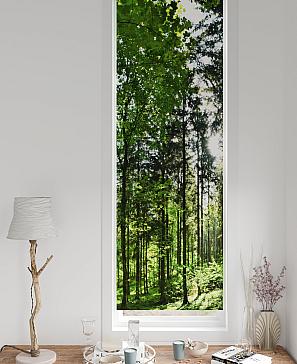 Рулонные <br>шторы «Флорко-650 - ширина 57 см, длина 170 см.»