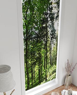 Рулонные <br>шторы «Флорко-650 - ширина 57 см, длина 170 см.»