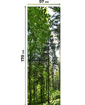 Рулонные <br>шторы «Флорко-650 - ширина 57 см, длина 170 см.»