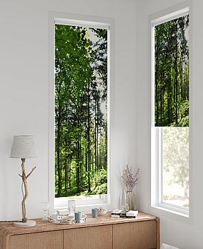 Рулонные <br>шторы «Флорко-650 - ширина 57 см, длина 170 см.»