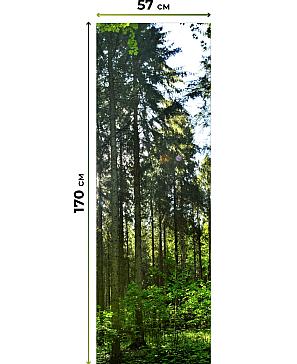 Рулонные <br>шторы «Флорко-651 - ширина 57 см, длина 170 см.»