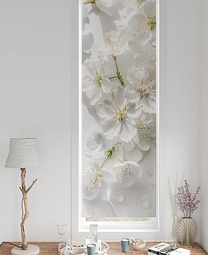 Рулонная штора «Флорко-666 - ширина 57 см, длина 170 см.» | фото 3