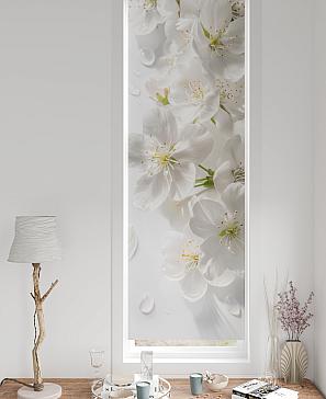 Рулонная штора «Флорко-667 - ширина 57 см, длина 170 см.» | фото 3