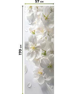 Рулонные <br>шторы «Флорко-667 - ширина 57 см, длина 170 см.»