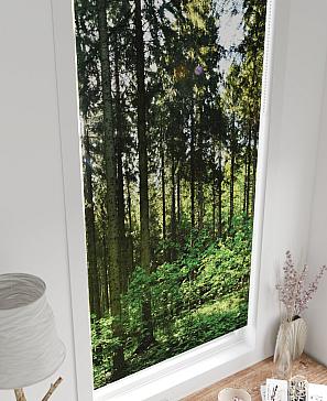 Рулонные <br>шторы «Онорэ-651 - ширина 68 см, длина 170 см.»