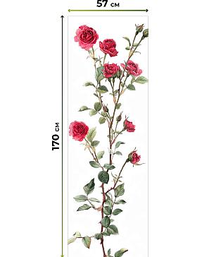 Рулонные <br>шторы «Фрезис-659 Ширина 57 см, Высота 170 см.»