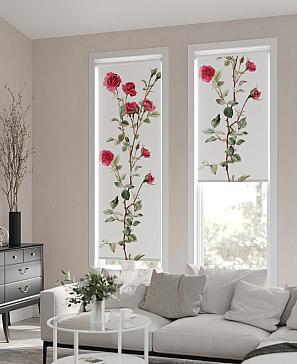 Рулонные <br>шторы «Фрезис-659 Ширина 57 см, Высота 170 см.»