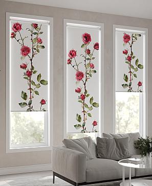 Рулонная штора «Фрезис-660 Ширина 57 см, Высота 170 см.» | фото 3