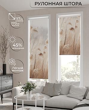 Рулонная штора «Фрезис-683 Ширина 57 см, Высота 170 см.» | фото