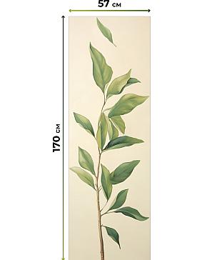 Рулонные <br>шторы «Фрезис-703 Ширина 57 см, Высота 170 см.»