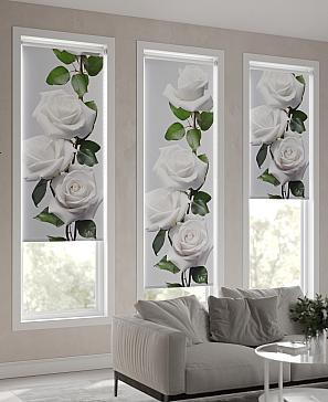 Рулонная штора «Фрезис-721 Ширина 57 см, Высота 170 см.» | фото 3