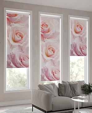 Рулонная штора «Фрезис-723 Ширина 57 см, Высота 170 см.» | фото 3