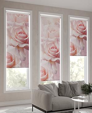 Рулонная штора «Фрезис-724 Ширина 57 см, Высота 170 см.» | фото 3