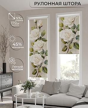 Рулонная штора «Фрезис-730 Ширина 57 см, Высота 170 см.» | фото