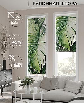 Рулонная штора «Фрезис-749 Ширина 57 см, Высота 170 см.» | фото