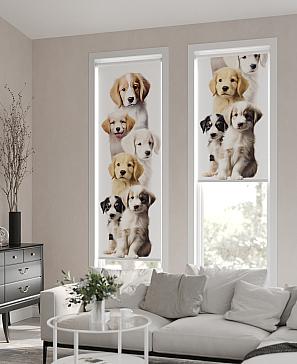 Рулонные <br>шторы «Фрезис-775 Ширина 57 см, Высота 170 см.»