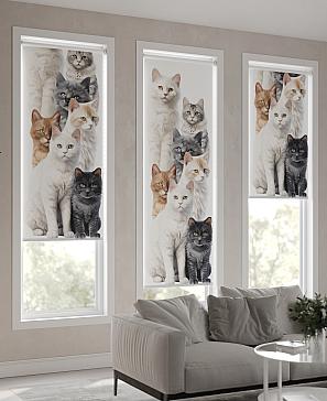 Рулонная штора «Фрезис-776 Ширина 57 см, Высота 170 см.» | фото 3