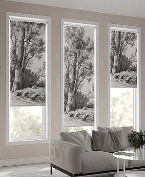 Рулонная штора «Фрезис-809 Ширина 57 см, Высота 170 см.» | фото 3