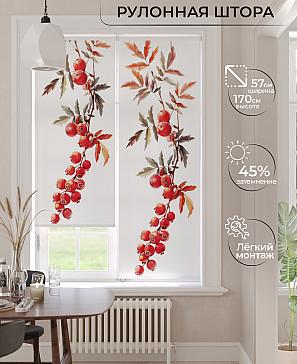Рулонная штора «Фрезис-855 Ширина 57 см, Высота 170 см.» | фото