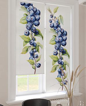 Рулонные <br>шторы «Фрезис-858 Ширина 57 см, Высота 170 см.»