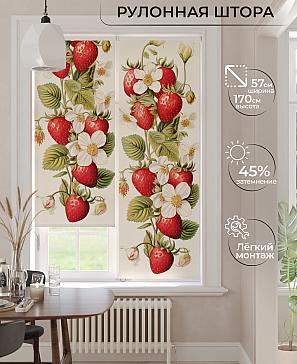 Рулонная штора «Фрезис-861 Ширина 57 см, Высота 170 см.» | фото