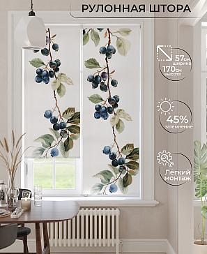 Рулонная штора «Фрезис-865 Ширина 57 см, Высота 170 см.» | фото