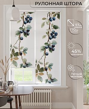 Рулонная штора «Фрезис-866 Ширина 57 см, Высота 170 см.» | фото