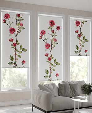 Рулонная штора «Мастио-660 - ширина 68 см, длина 170 см.» | фото 3