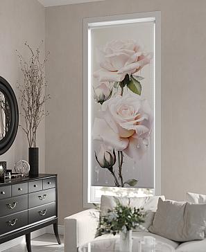 Рулонные <br>шторы «Мастио-717 - ширина 68 см, длина 170 см.»