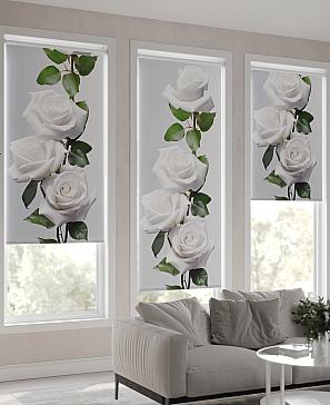 Рулонная штора «Мастио-721 - ширина 68 см, длина 170 см.» | фото 3