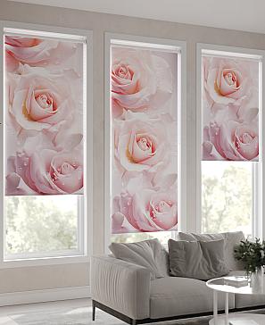 Рулонная штора «Мастио-723 - ширина 68 см, длина 170 см.» | фото 3