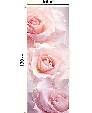 Рулонные <br>шторы «Мастио-723 - ширина 68 см, длина 170 см.»