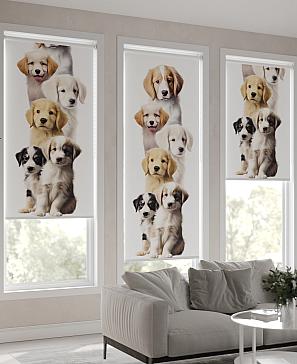 Рулонная штора «Мастио-775 - ширина 68 см, длина 170 см.» | фото 3