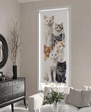 Рулонные <br>шторы «Мастио-776 - ширина 68 см, длина 170 см.»