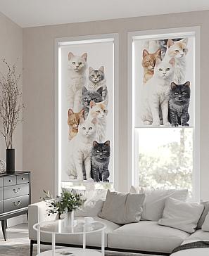 Рулонные <br>шторы «Мастио-776 - ширина 68 см, длина 170 см.»