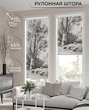 Рулонная штора «Мастио-809 - ширина 68 см, длина 170 см.» | фото