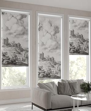 Рулонная штора «Мастио-810 - ширина 68 см, длина 170 см.» | фото 3