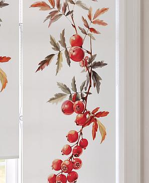 Рулонная штора «Мастио-855 - ширина 68 см, длина 170 см.» | фото 3