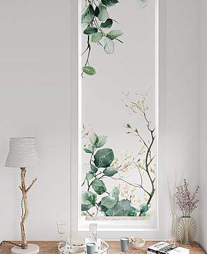 Рулонная штора «Флорко-604 - ширина 57 см, длина 170 см.» | фото 3