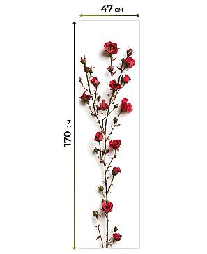 Рулонные <br>шторы «Нистан-601 - ширина 47 см, длина 170 см.»