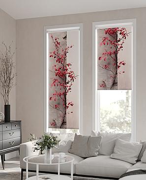 Рулонные <br>шторы «Фрезис-574 - ширина 57 см, длина 170 см.»