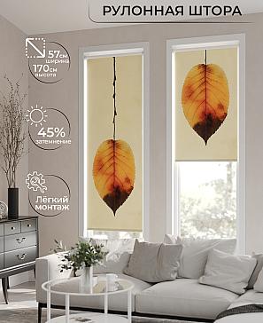 Рулонная штора «Фрезис-576 - ширина 57 см, длина 170 см.» | фото