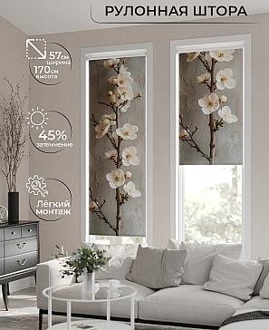 Рулонная штора «Фрезис-595 - ширина 57 см, длина 170 см.» | фото
