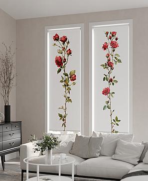 Рулонная штора «Фрезис-616 - ширина 57 см, длина 170 см.» | фото 2