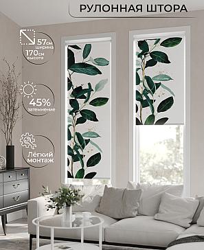 Рулонная штора «Фрезис-623 - ширина 57 см, длина 170 см.» | фото