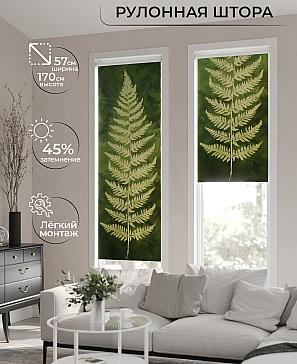 Рулонная штора «Фрезис-637 - ширина 57 см, длина 170 см.» | фото