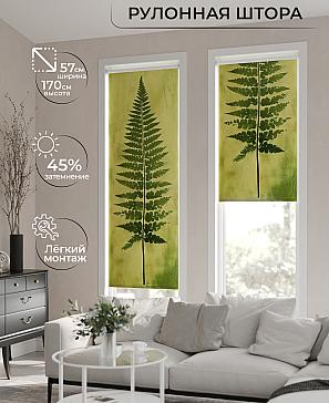 Рулонная штора «Фрезис-638 - ширина 57 см, длина 170 см.» | фото