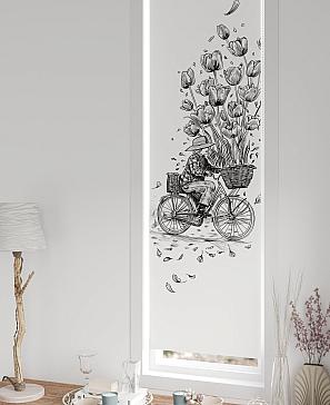 Рулонная штора  «Нистан - 173 - ширина 47 см»