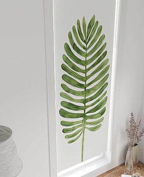 Рулонная штора  «Нистан - 183 - ширина 47 см»